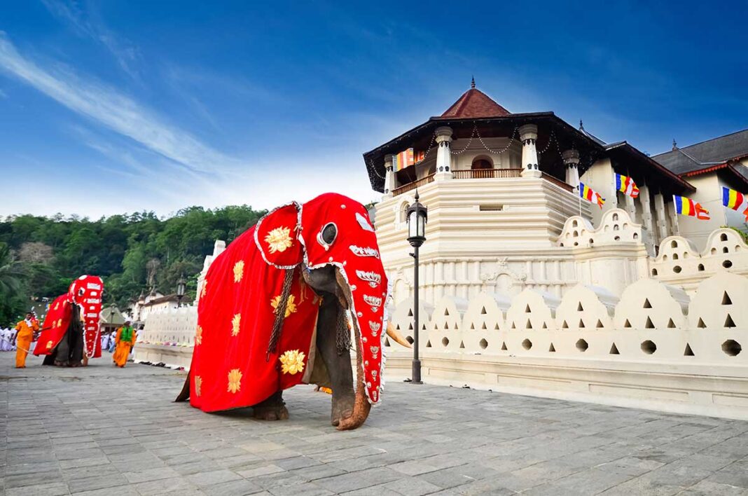 Temple of the Tooth image